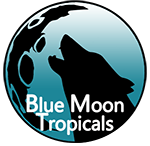 Blue Moon Tropicals Logo