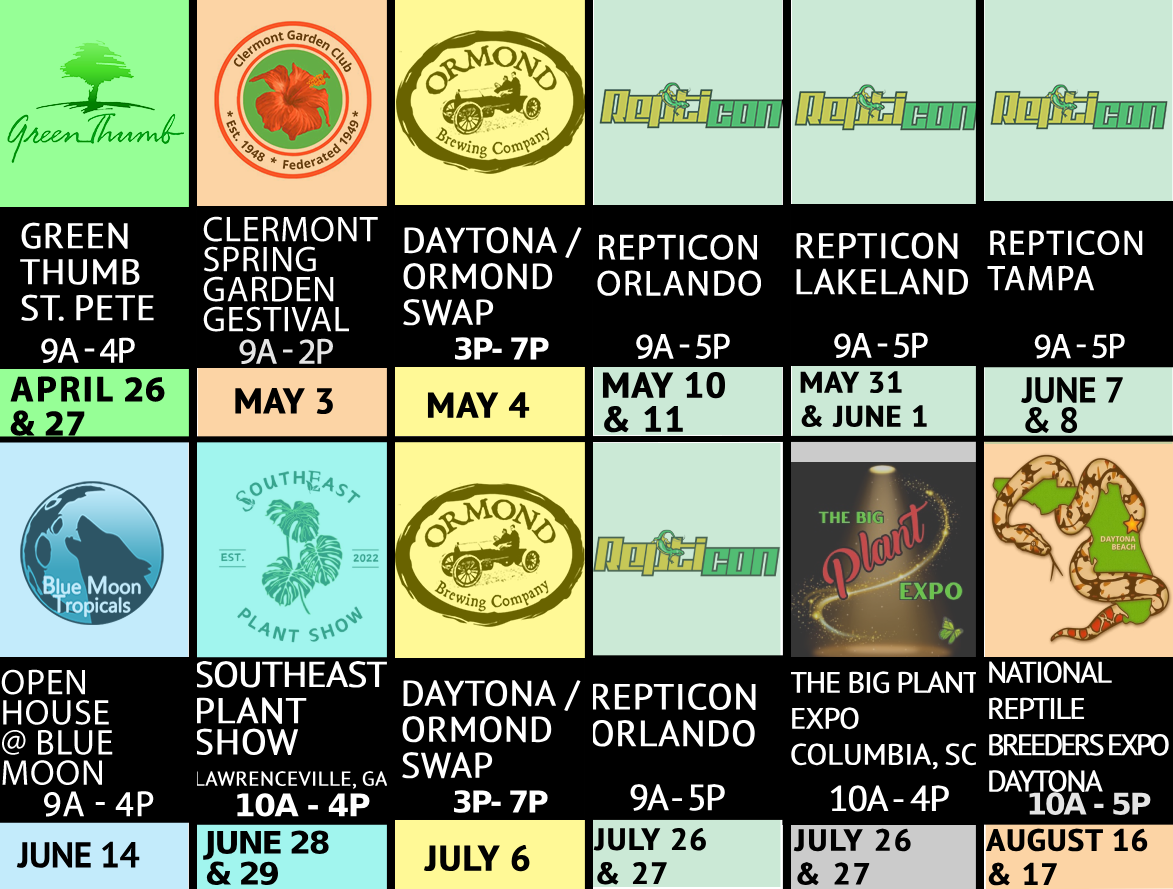 summerschedule2025